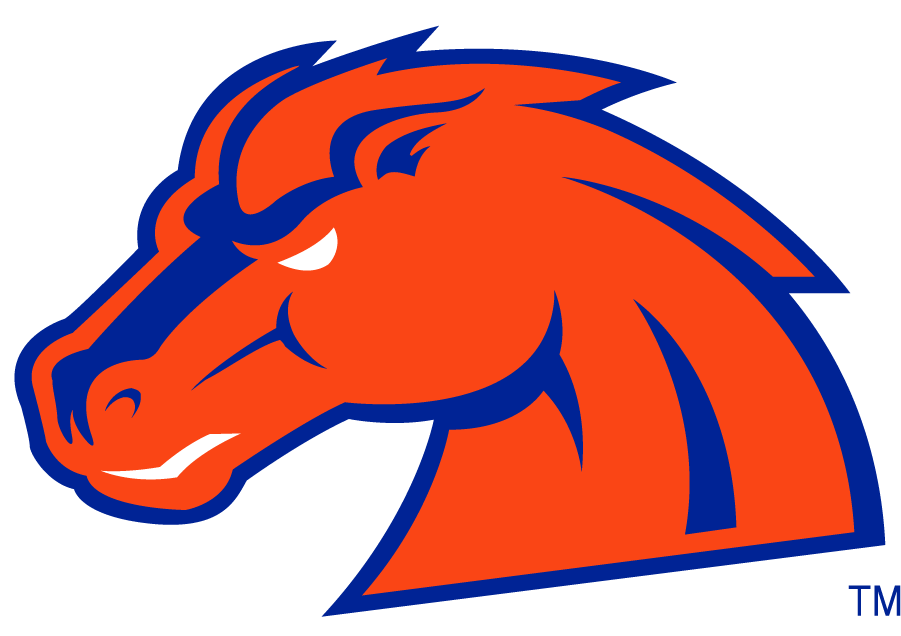 Boise State Broncos 2002-2012 Secondary Logo v14 iron on transfers for T-shirts